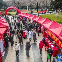 ��˫����С��������������������ͽ��Ϸ�