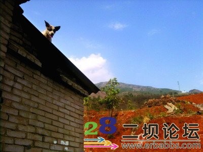 �����ɼ�